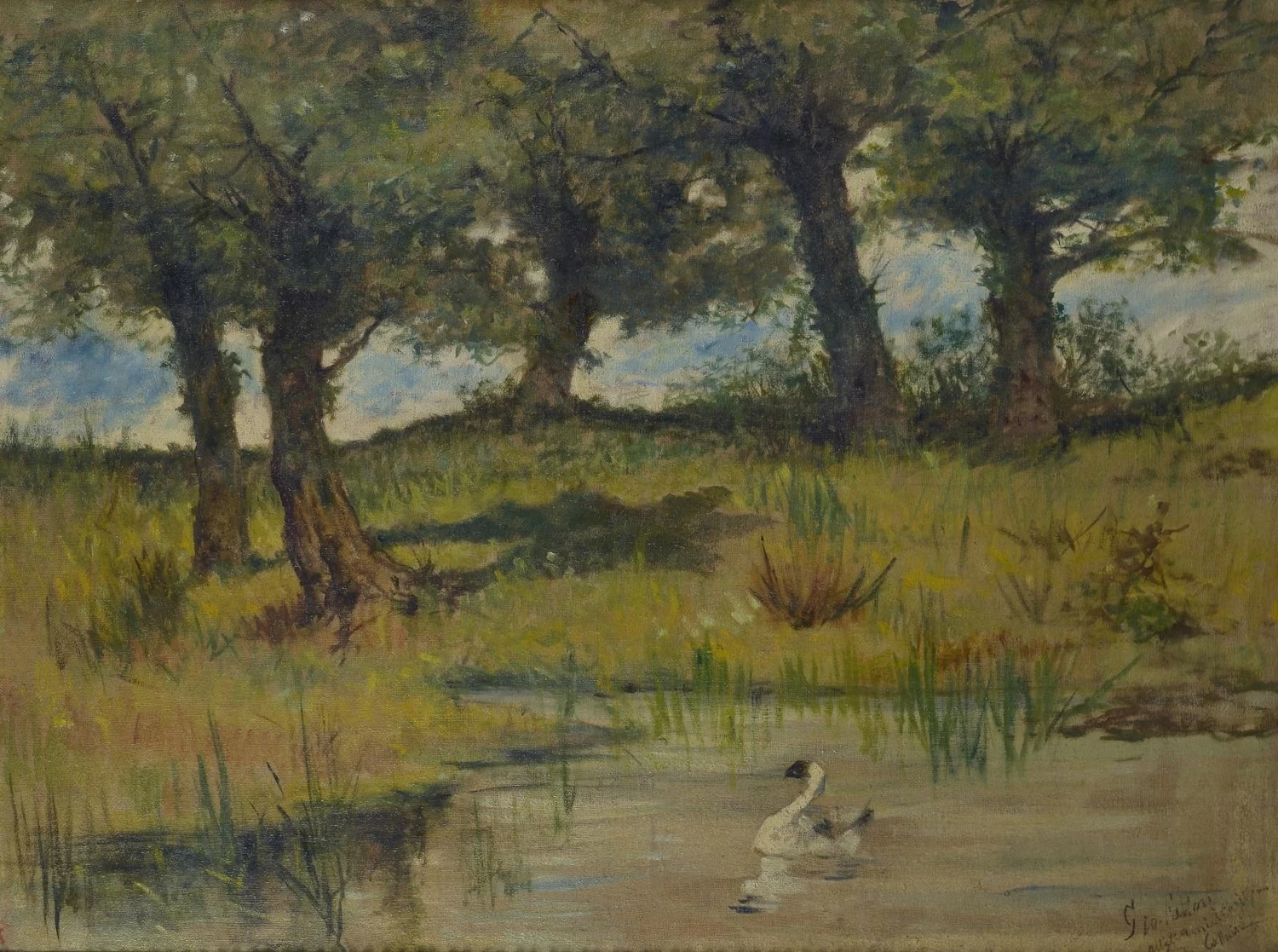 Lo stagno, dintorni di Casteglioncello